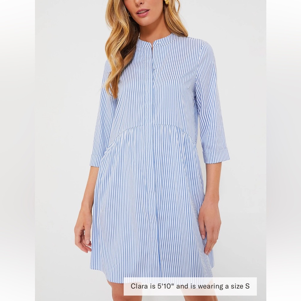 TUCKERNUCK Blue Stripe Royal Shirt Dress Various Sizes NEW - Picture 2 of 13